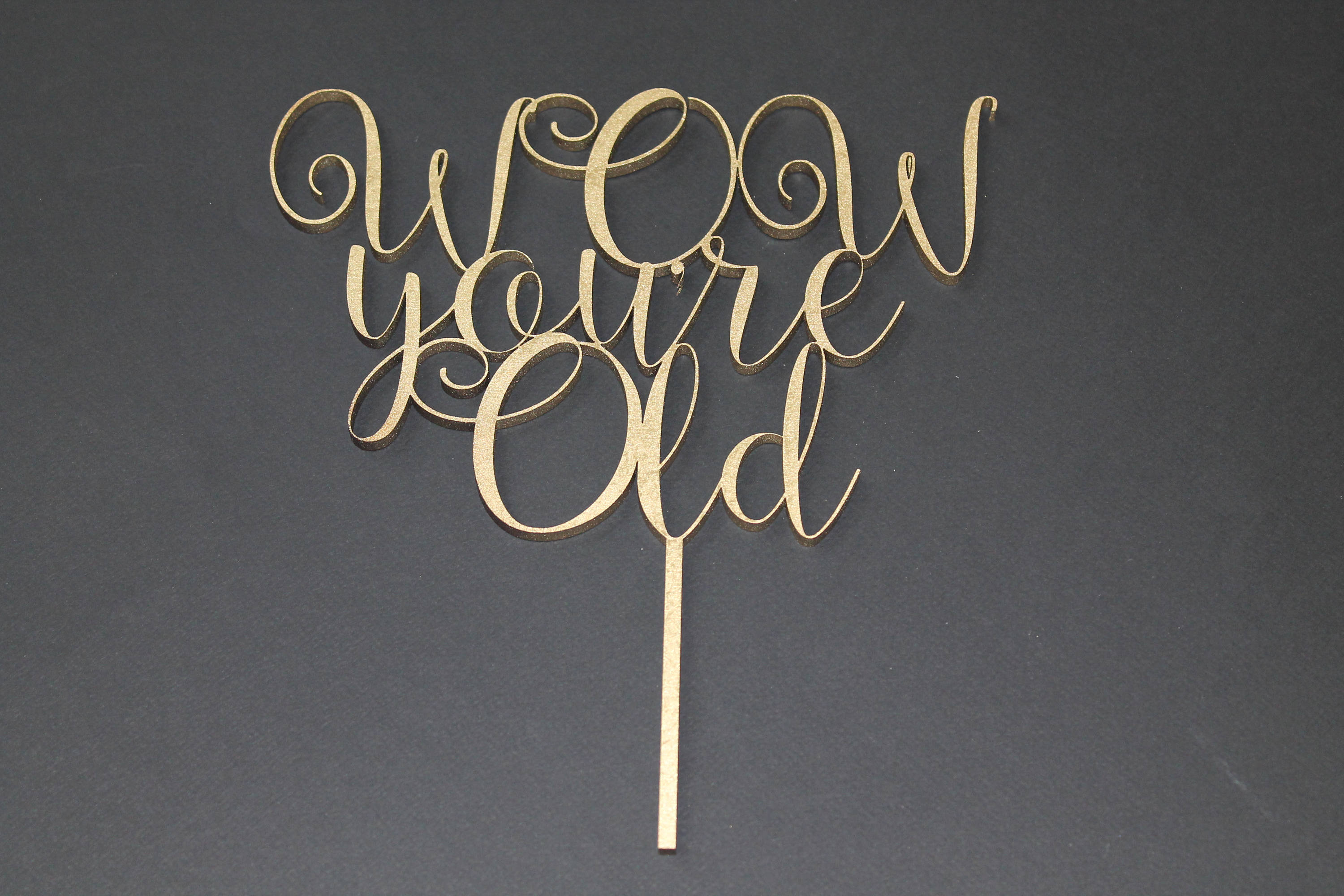 Wow You're Old Cake Topper Birthday Party Satire